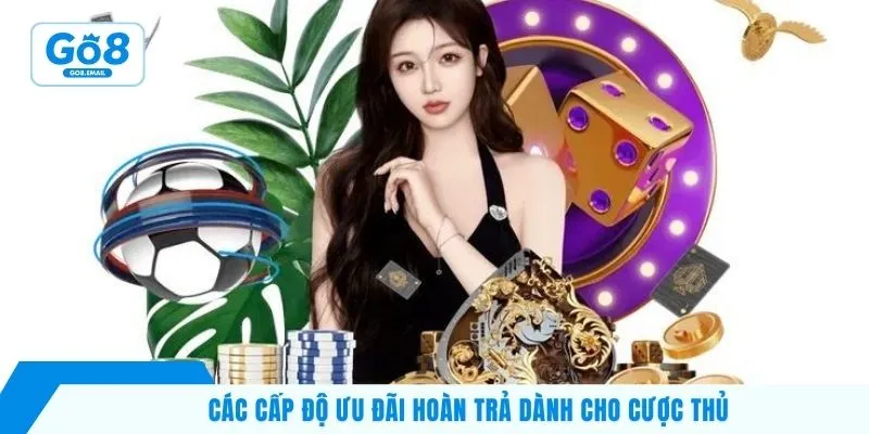 Các cấp độ ưu đãi hoàn trả dành cho cược thủ