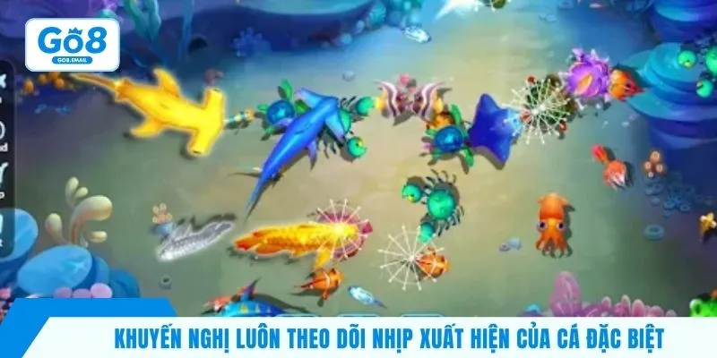 Khuyến nghị luôn theo dõi nhịp xuất hiện của cá đặc biệt